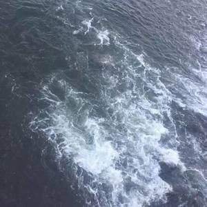 Meet your Posher, Veronika